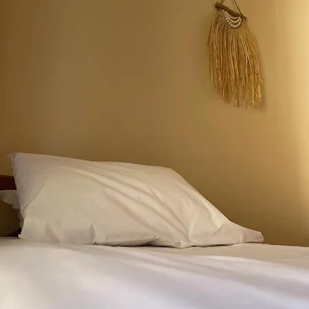 Bougainvilla Sarandë